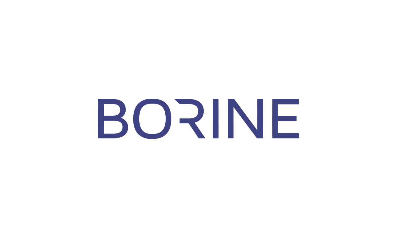 PT Borine Technology Indonesia